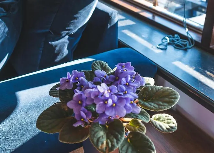 Tiiupesa Guest house