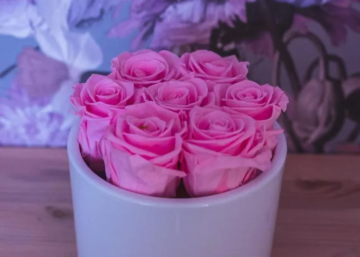 Guest house Tiiupesa *